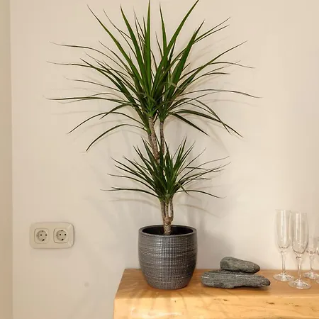 Casa Callisto Дом отдыха