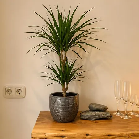 Casa Callisto Tatil Evi *