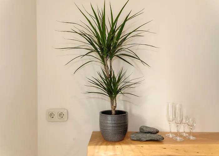 Casa Callisto Prázdninový dům